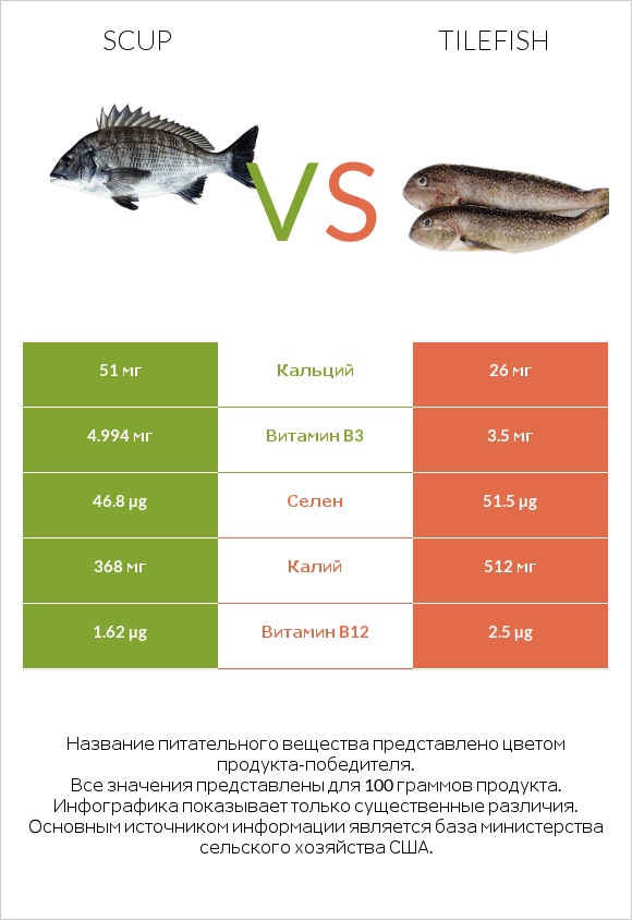 Scup vs Tilefish infographic