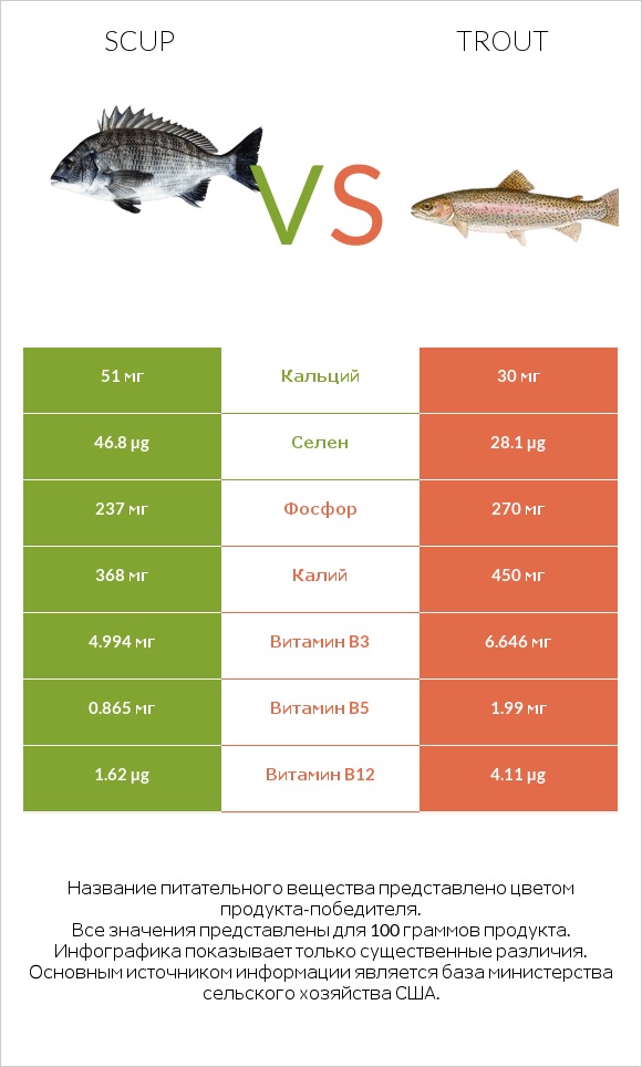 Scup vs Trout infographic