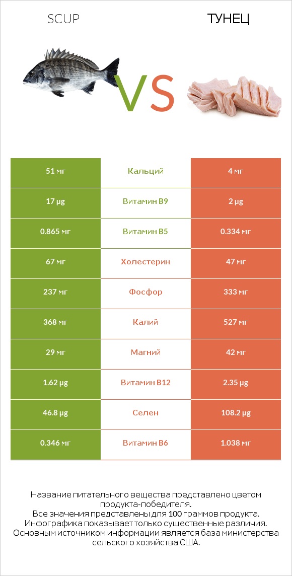 Scup vs Тунец infographic