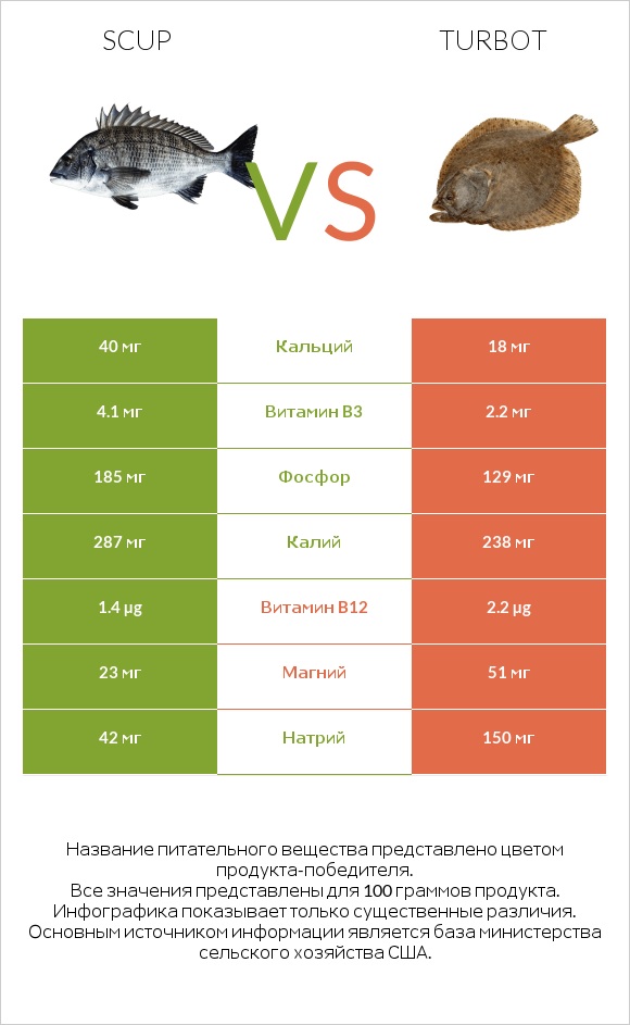 Scup vs Turbot infographic