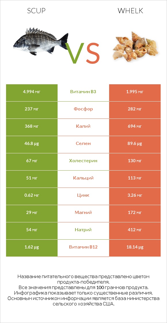 Scup vs Whelk infographic