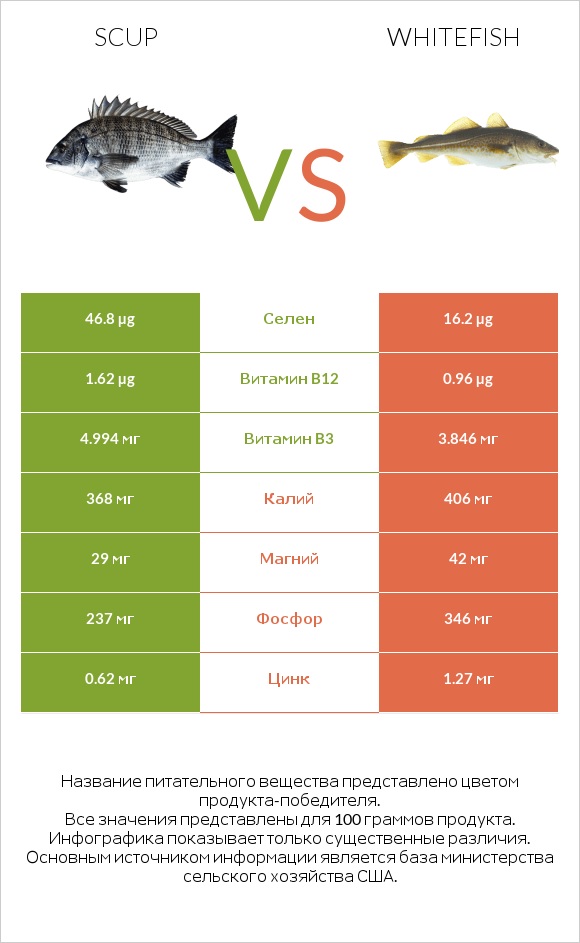 Scup vs Whitefish infographic