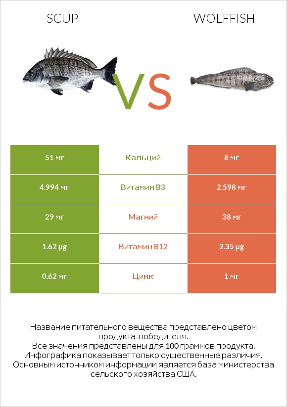 Scup vs Wolffish infographic