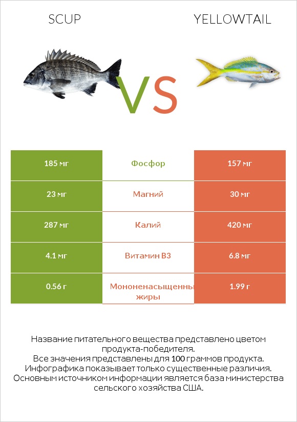 Scup vs Yellowtail infographic