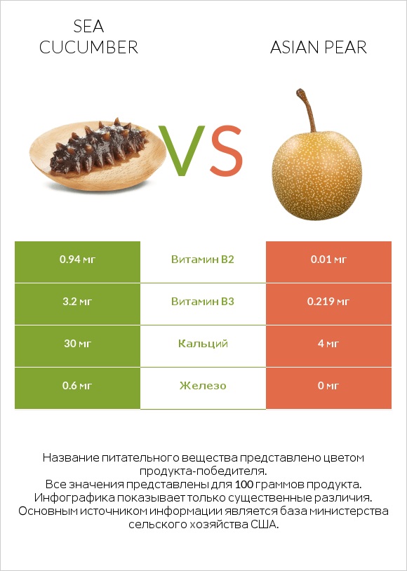 Sea cucumber vs Asian pear infographic