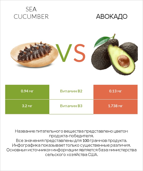 Sea cucumber vs Авокадо infographic