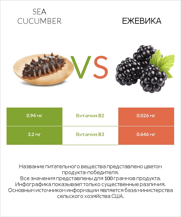 Sea cucumber vs Ежевика infographic