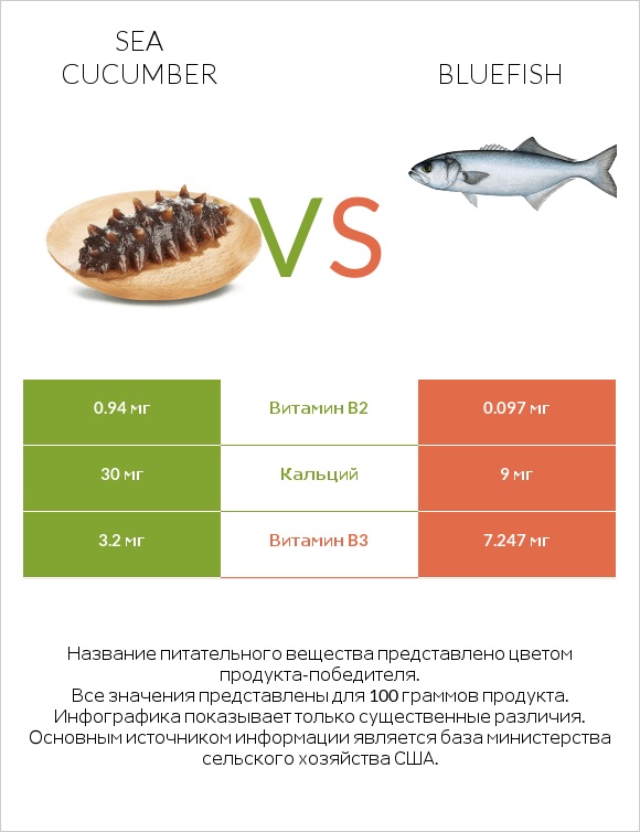 Sea cucumber vs Bluefish infographic