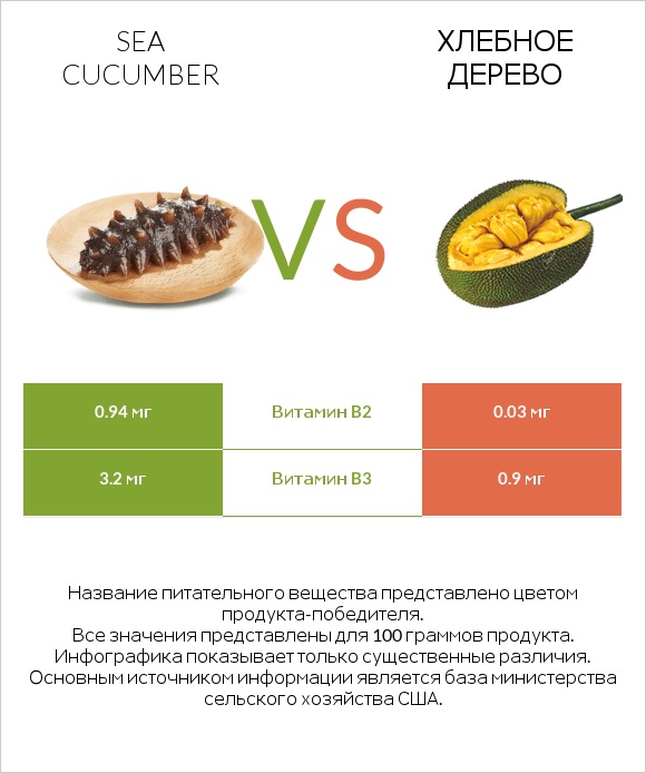 Sea cucumber vs Хлебное дерево infographic
