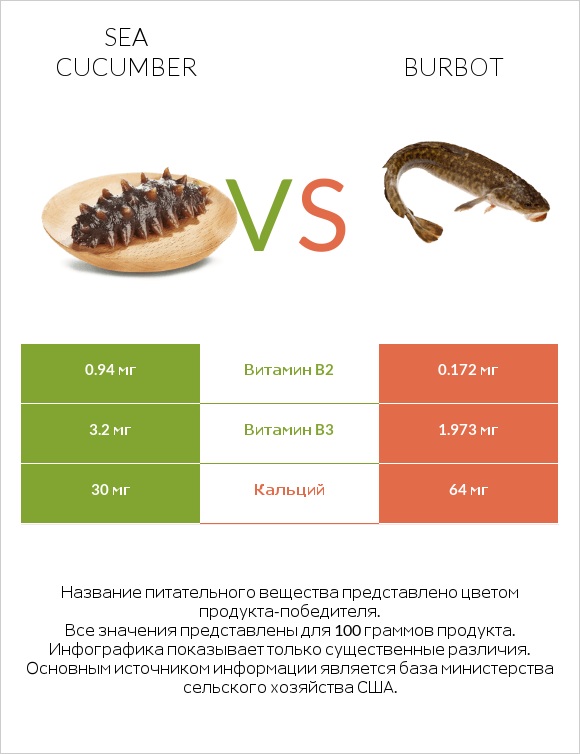 Sea cucumber vs Burbot infographic