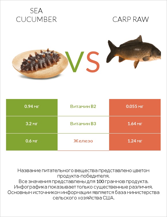 Sea cucumber vs Carp raw infographic