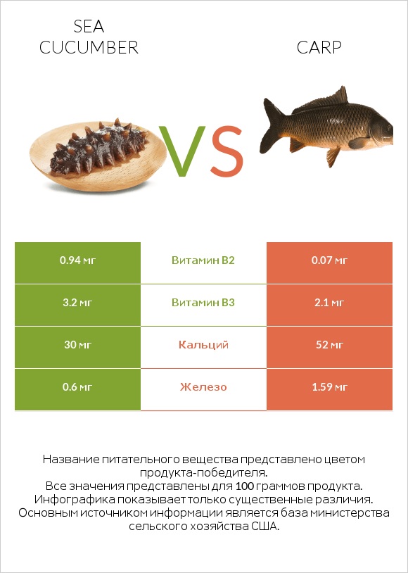 Sea cucumber vs Carp infographic