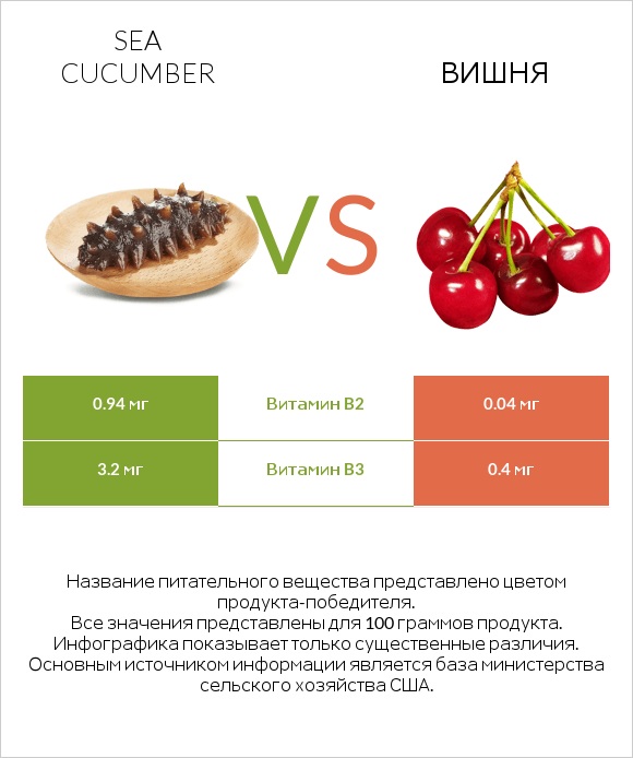 Sea cucumber vs Вишня infographic