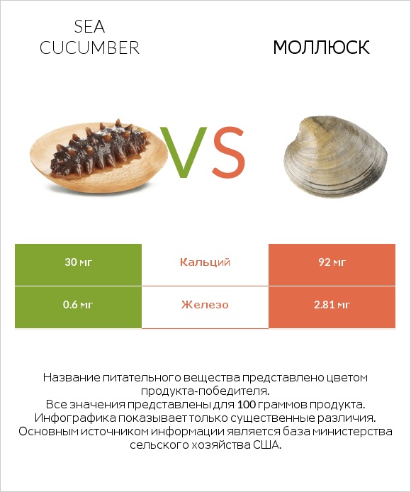 Sea cucumber vs Моллюск infographic