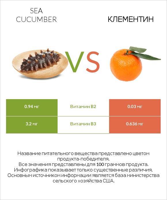 Sea cucumber vs Клементин infographic