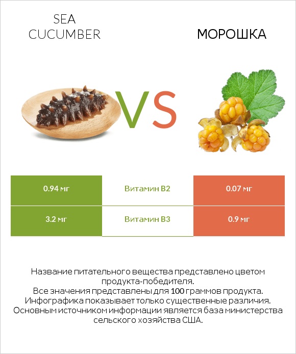Sea cucumber vs Морошка infographic
