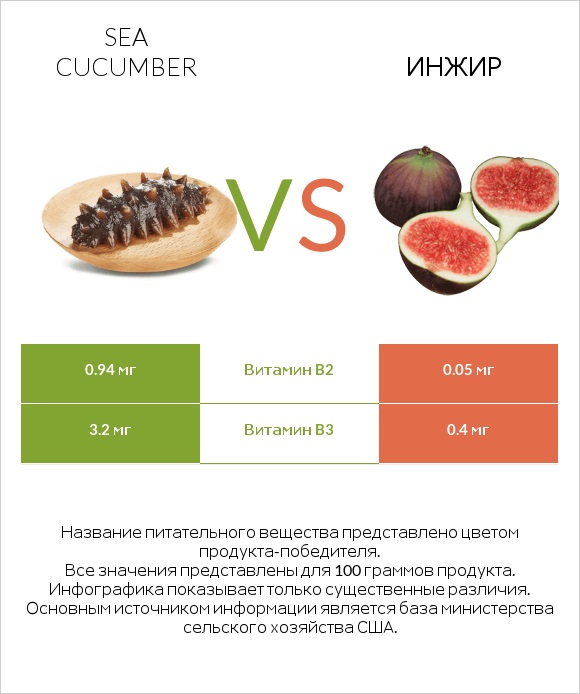 Sea cucumber vs Инжир infographic