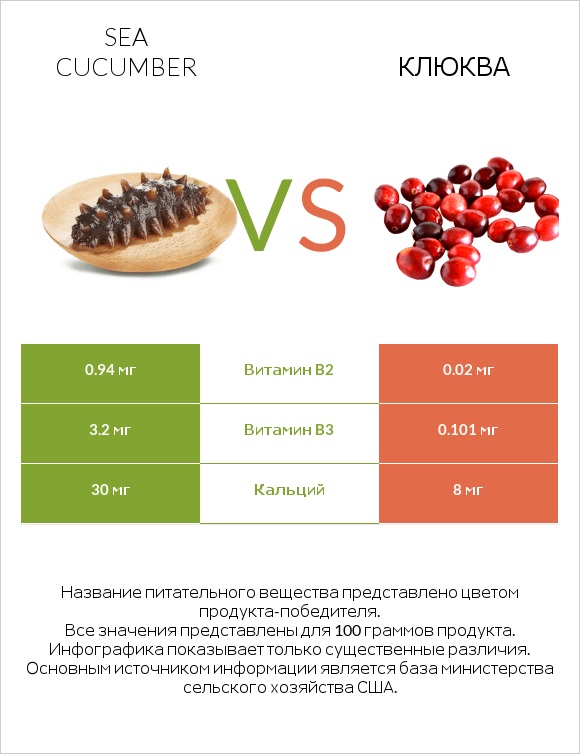 Sea cucumber vs Клюква infographic