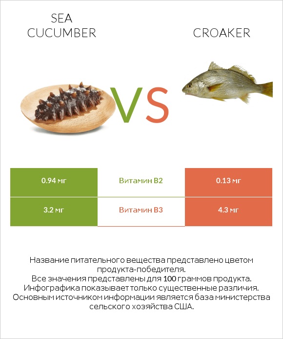 Sea cucumber vs Croaker infographic