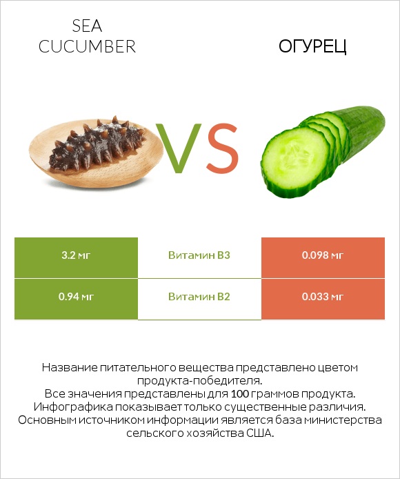 Sea cucumber vs Огурец infographic