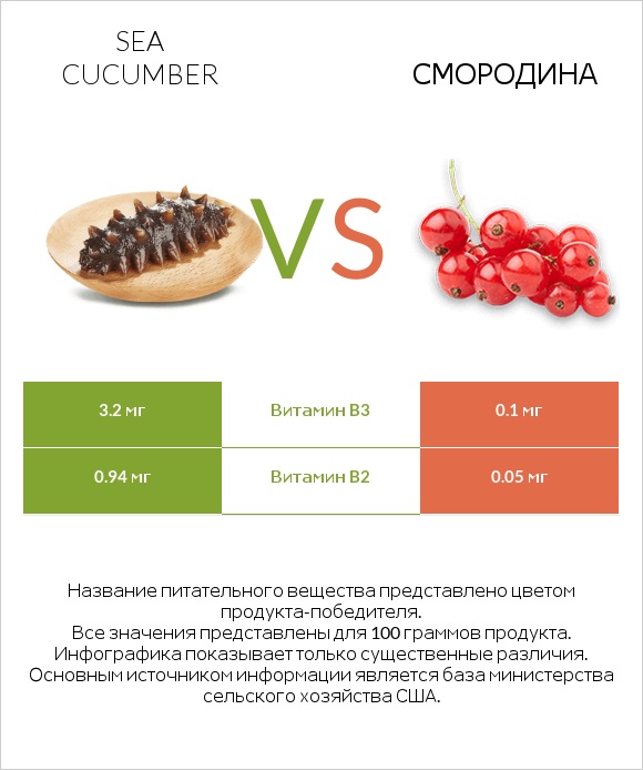 Sea cucumber vs Смородина infographic
