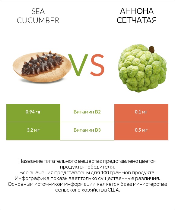 Sea cucumber vs Аннона сетчатая infographic