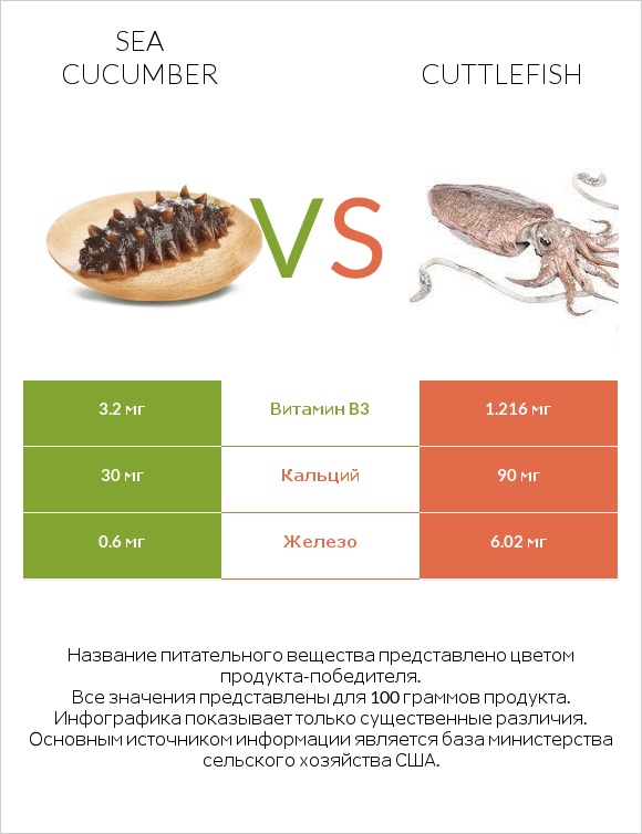 Sea cucumber vs Cuttlefish infographic