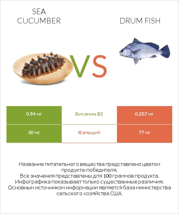 Sea cucumber vs Drum fish infographic