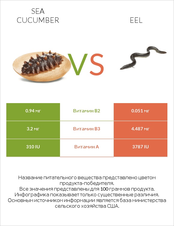 Sea cucumber vs Eel infographic