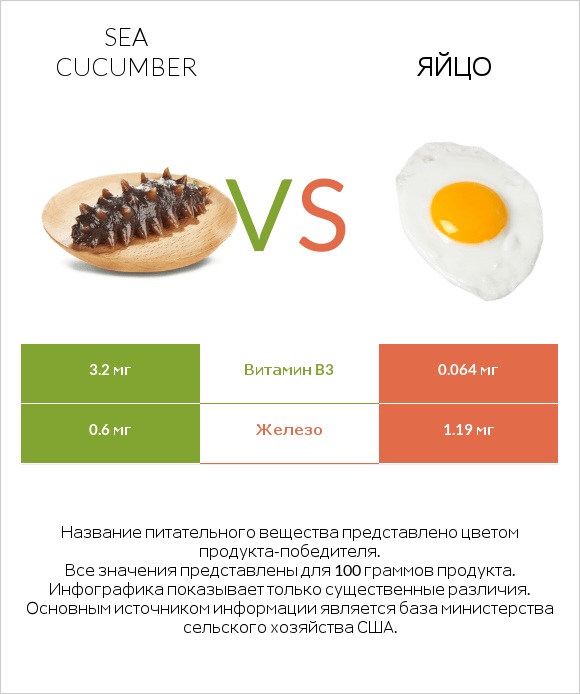 Sea cucumber vs Яйцо infographic