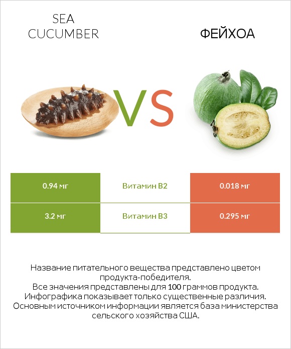 Sea cucumber vs Фейхоа infographic