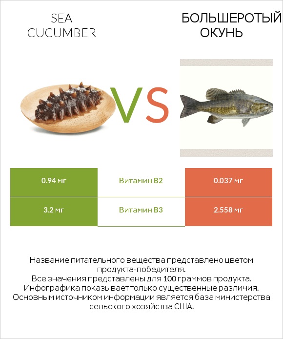 Sea cucumber vs Большеротый окунь infographic