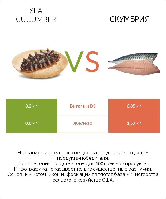 Sea cucumber vs Скумбрия infographic