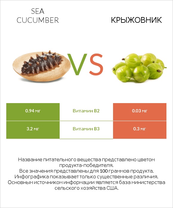 Sea cucumber vs Крыжовник infographic