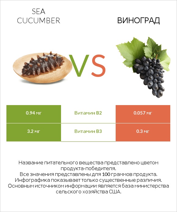 Sea cucumber vs Виноград infographic