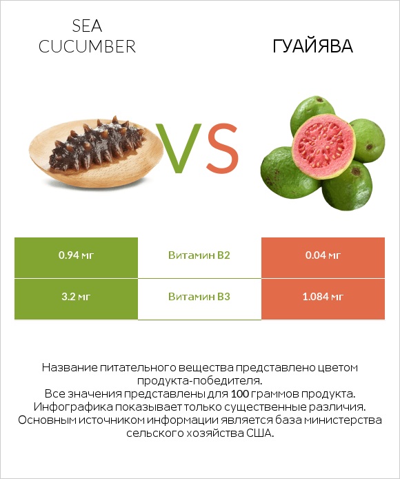Sea cucumber vs Гуайява infographic