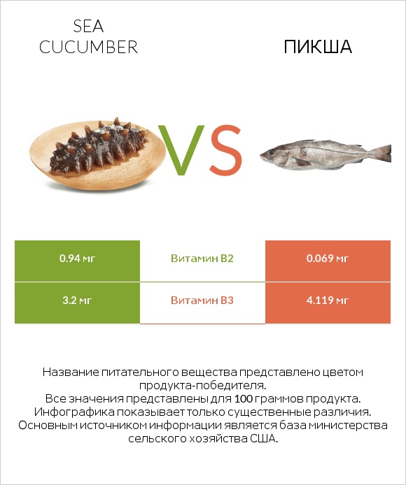 Sea cucumber vs Пикша infographic