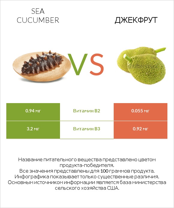 Sea cucumber vs Джекфрут infographic
