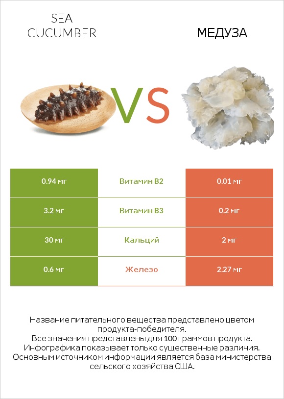 Sea cucumber vs Медуза infographic