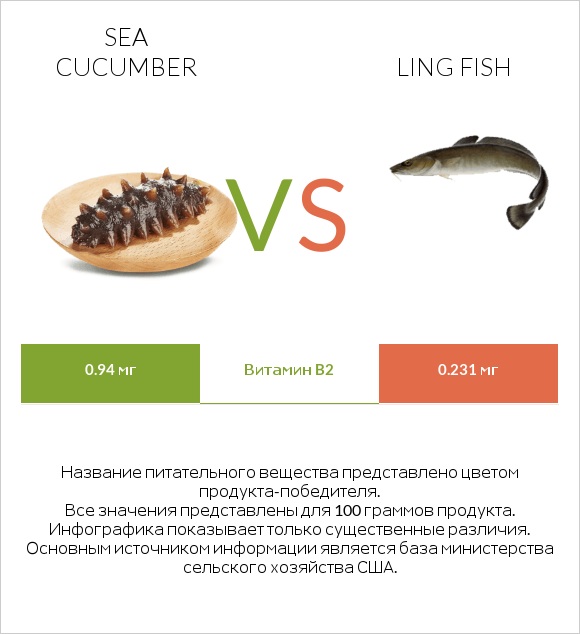 Sea cucumber vs Ling fish infographic