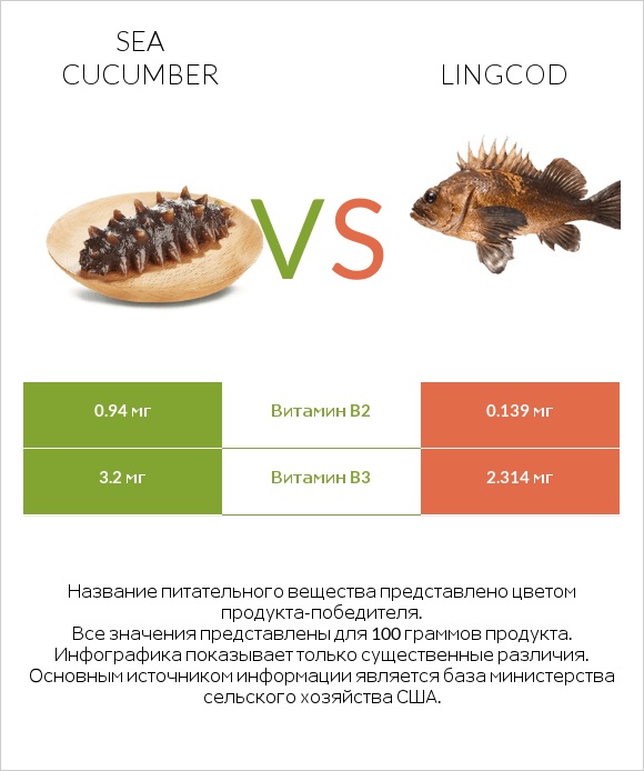 Sea cucumber vs Lingcod infographic