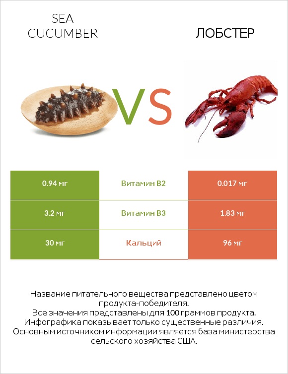 Sea cucumber vs Лобстер infographic