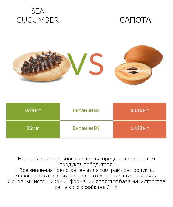 Sea cucumber vs Сапота infographic
