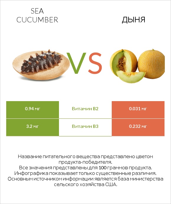 Sea cucumber vs Дыня infographic
