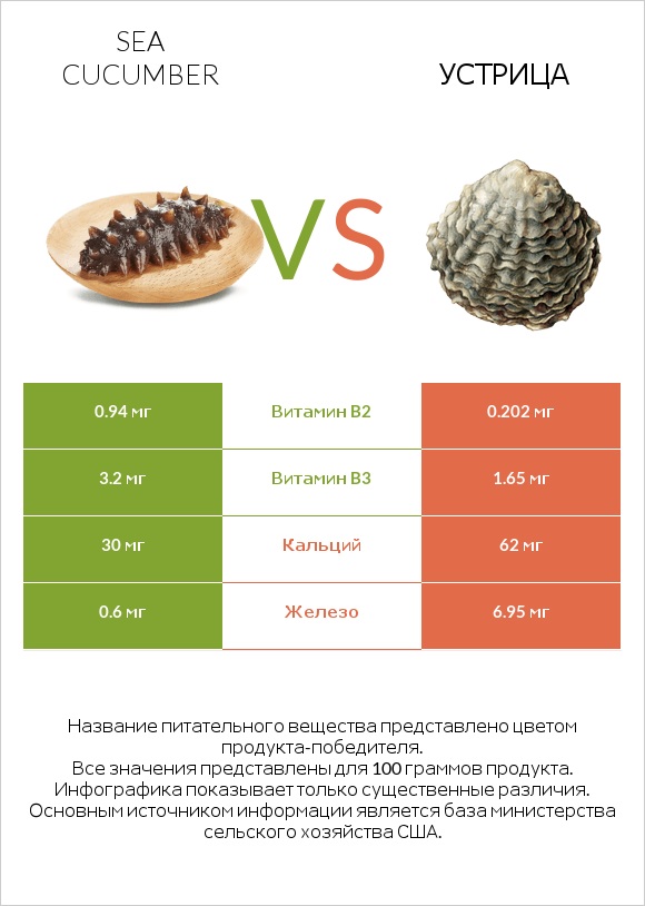 Sea cucumber vs Устрица infographic
