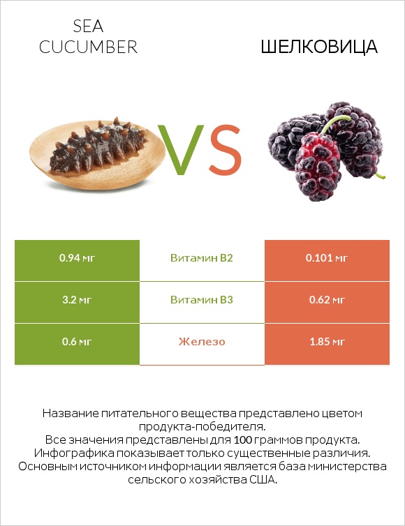 Sea cucumber vs Шелковица infographic