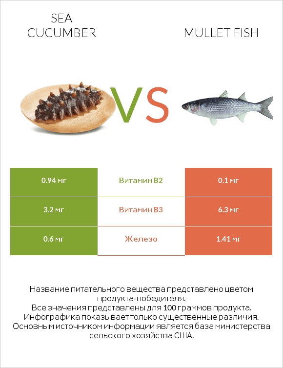 Sea cucumber vs Mullet fish infographic