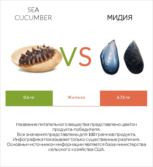 Sea cucumber vs Мидия infographic