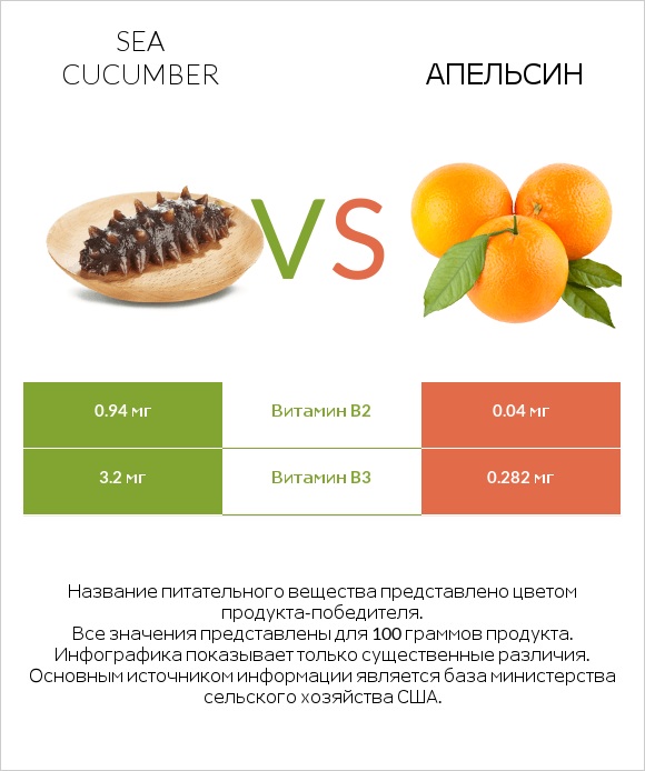 Sea cucumber vs Апельсин infographic