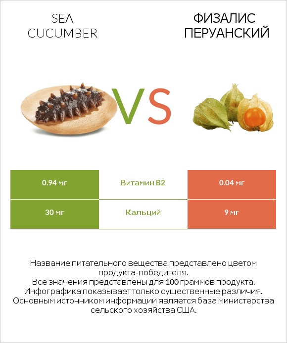 Sea cucumber vs Физалис перуанский infographic